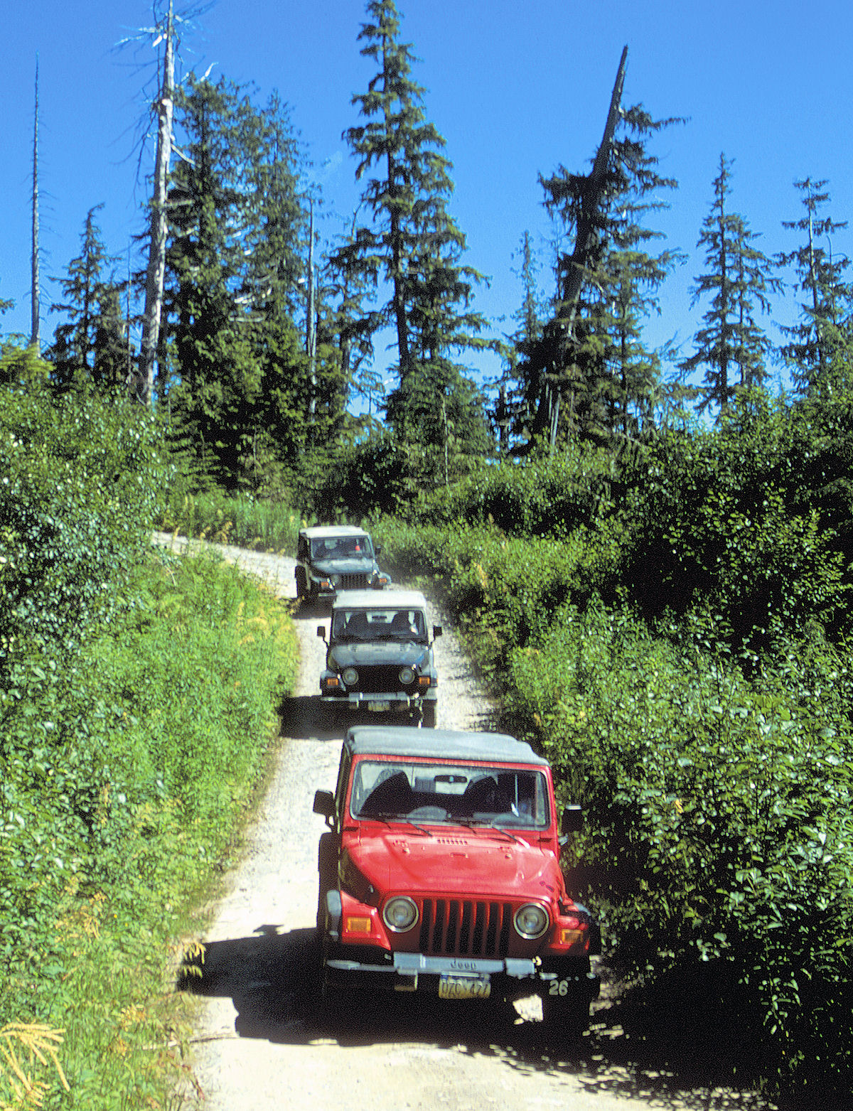 Back Country Jeep & Canoe Safari